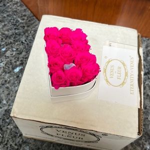 Venus et Fleur Mini B Roses in Hot Pink